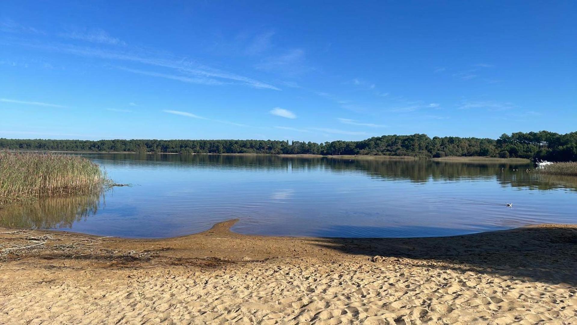 Appartement T2 Proche Lac Sanguinet Eksteriør billede