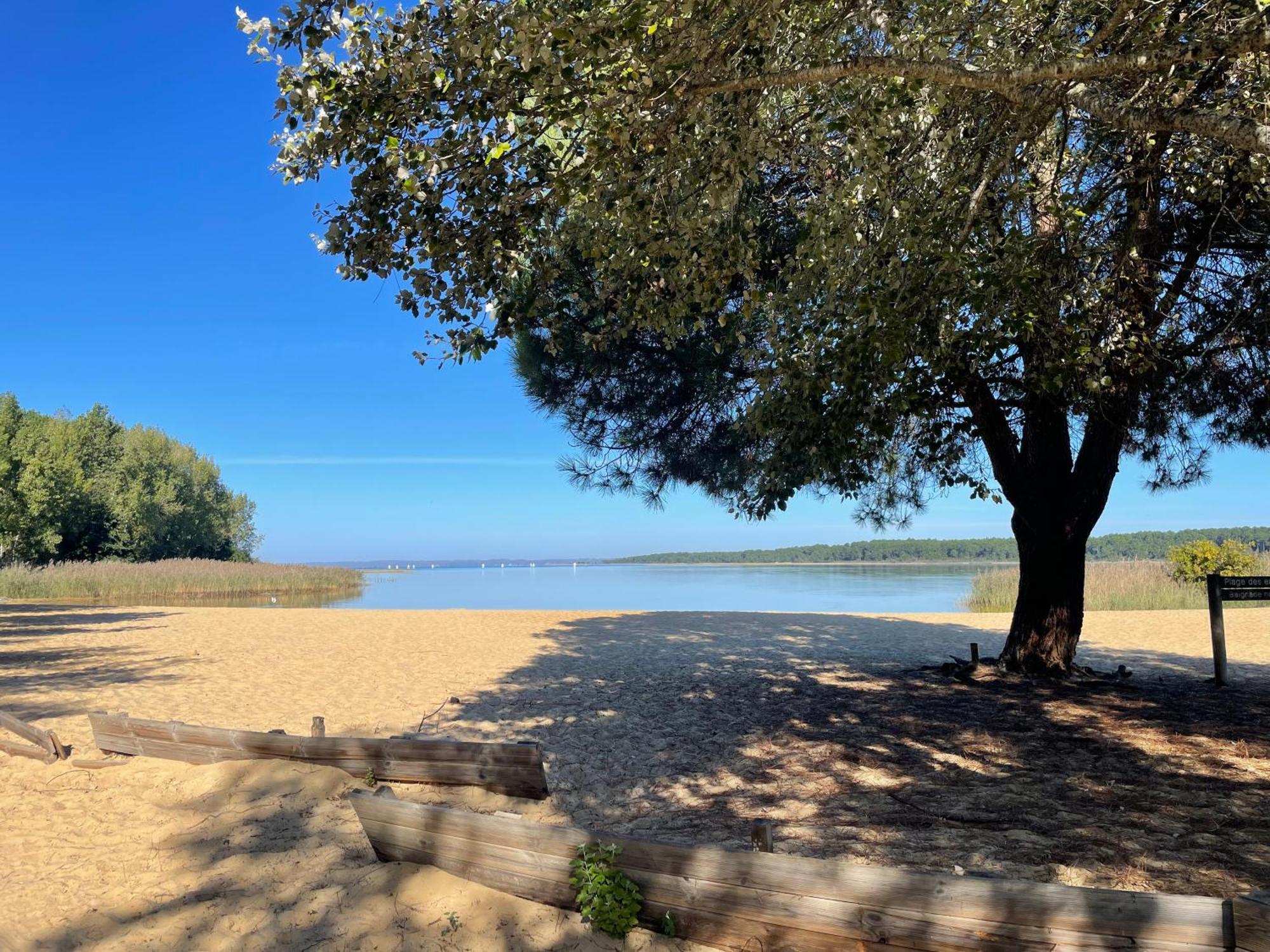 Appartement T2 Proche Lac Sanguinet Eksteriør billede